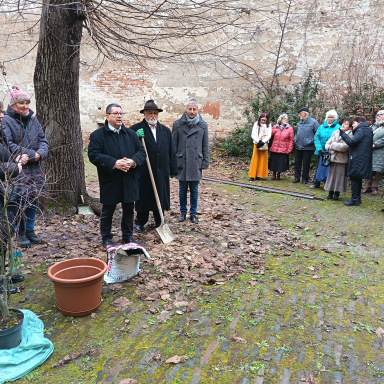 Tu biSvát Nagykanizsán
