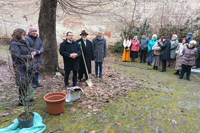 Tu biSvát – a fák újéve Nagykanizsán +Képgaléria