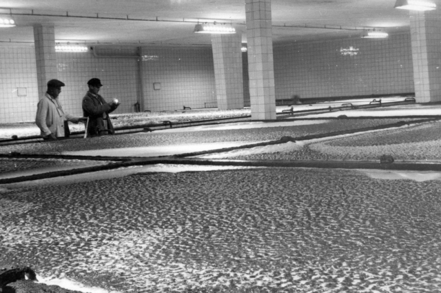 Egy korszak emléke: így működött a nagykanizsai sörgyár az ötvenes években