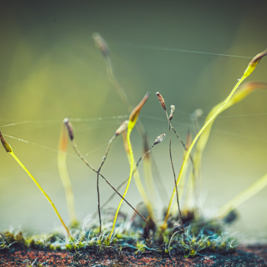 Turi István világa