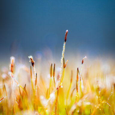 Turi István világa