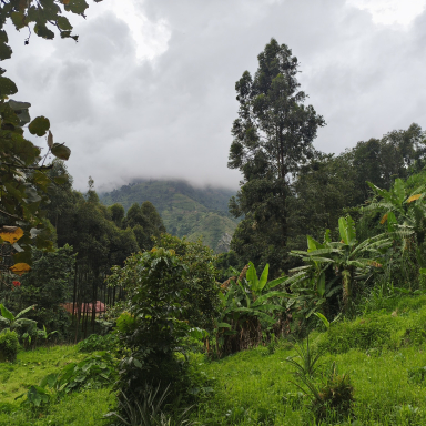 Eszti és Ádám útja Afrikában