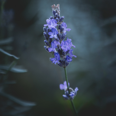 Turi István világa