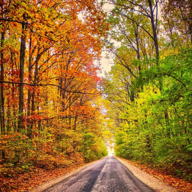 Turi István világa