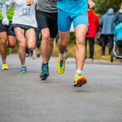 Venenatis viverra eget habitant scelerisque dictum sed et nunc diam.