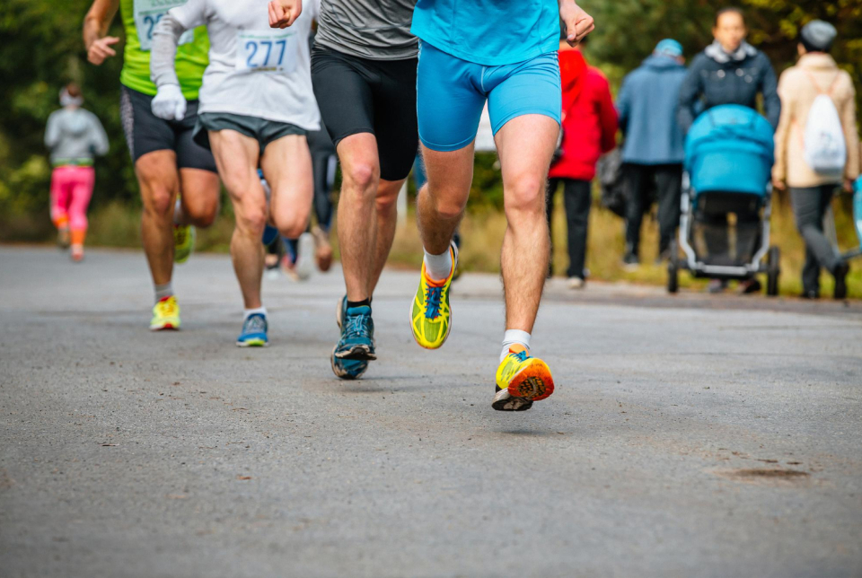 Venenatis viverra eget habitant scelerisque dictum sed et nunc diam.