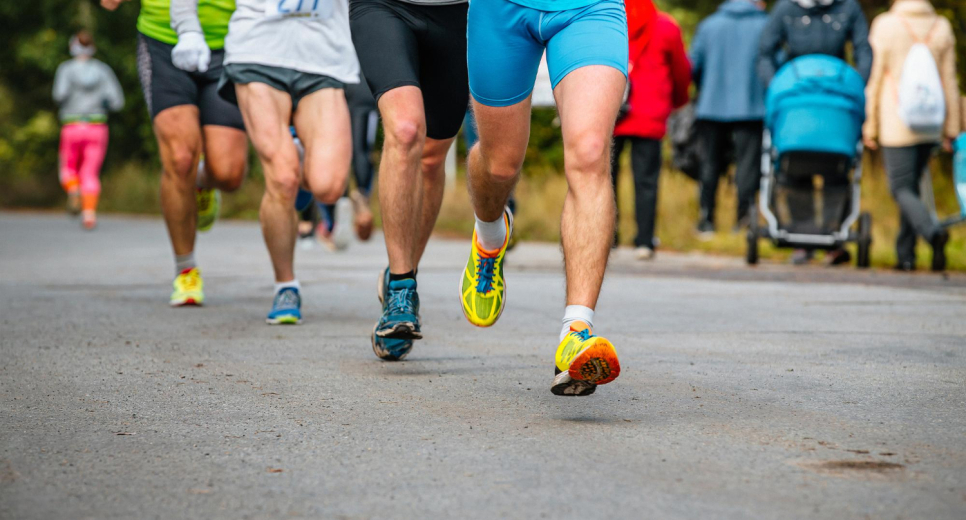 Venenatis viverra eget habitant scelerisque dictum sed et nunc diam.