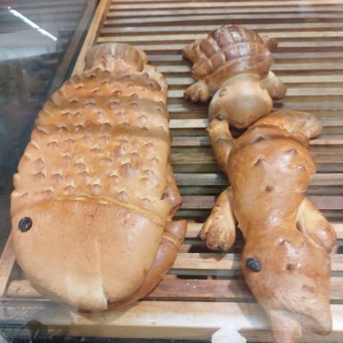 Eszti és Ádám útja Afrikában