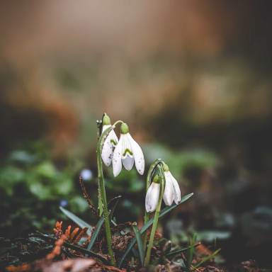 Turi István világa