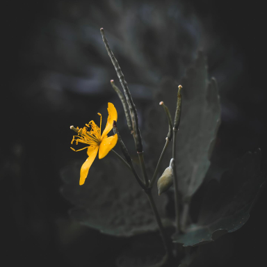 Turi István világa