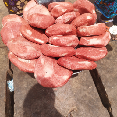 Eszti és Ádám útja Afrikában