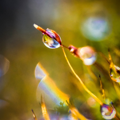 Turi István világa