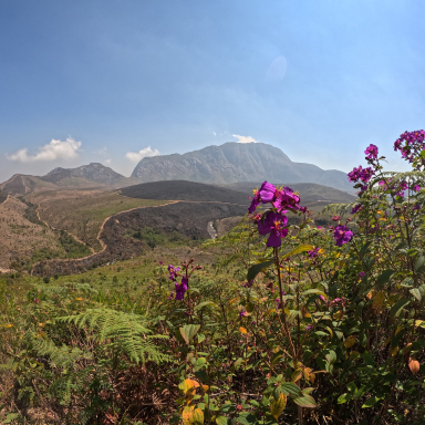 Eszti és Ádám útja Afrikában