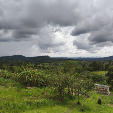 Eszti és Ádám útja Afrikában