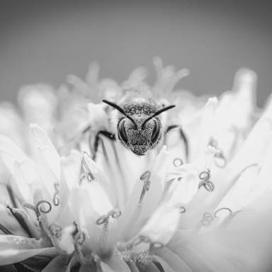 Turi István világa