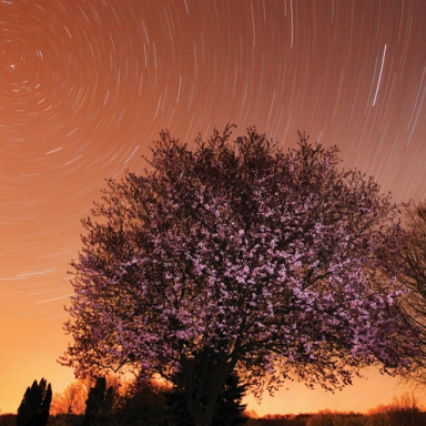 Varga György: Nagykanizsa - Ég és Föld között