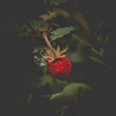 Turi István világa