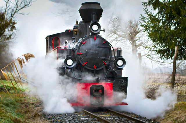 Indul a kisvasúti szezon a Zalaerdőnél: húsvéti expressz nyitja az évet +VIDEÓ