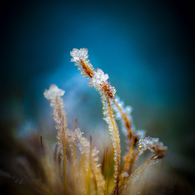 Turi István világa