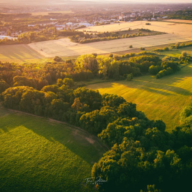 Turi István világa
